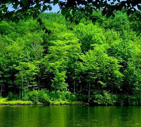 浙江创新粉象生活好不好