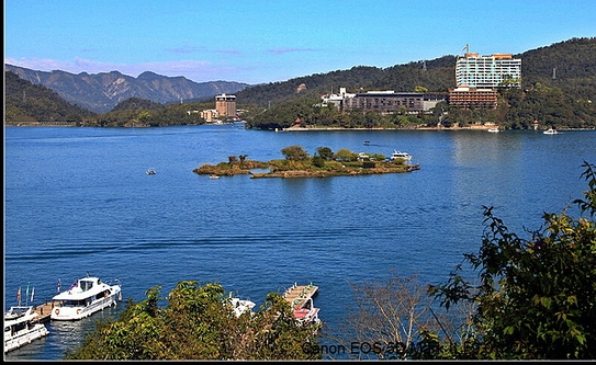 粉象生活app