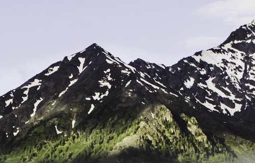 粉象生活能赚钱吗