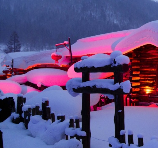 广东一站式粉象生活推广