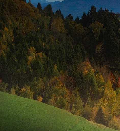 粉象生活vs美乐家