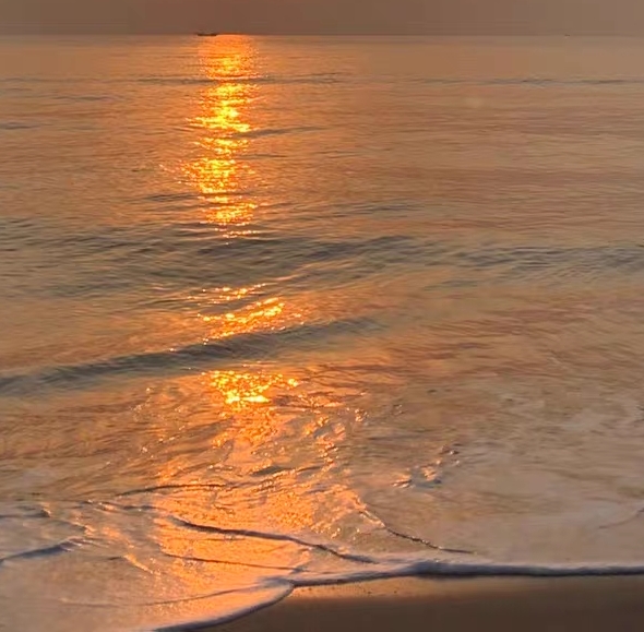 粉象生活公益文