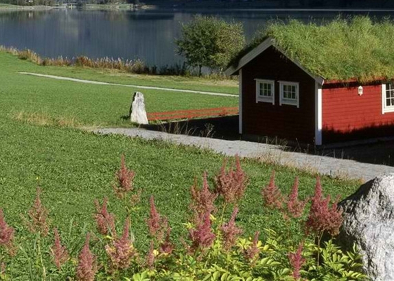 注册粉象生活有风险吗