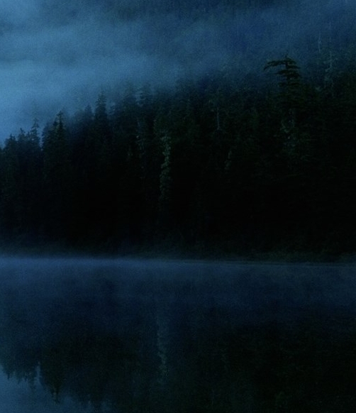 粉象生活专属邀请码是什么