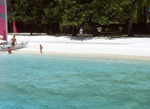 粉象生活是什么