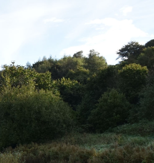 粉象生活的开店模式