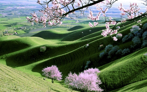 粉象生活怎么赚钱