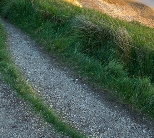 粉象生活下载app