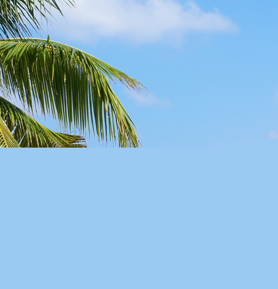 粉象生活大学生兼职