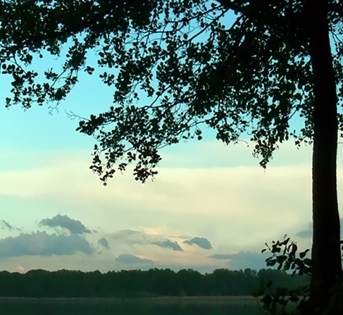 杭州蜂享家智能科技有限公司