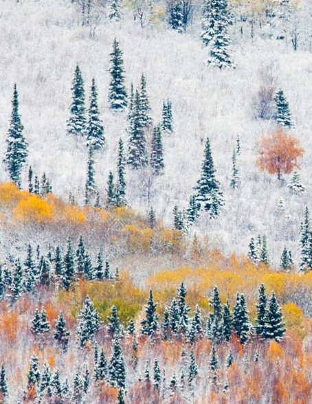 粉象生活怎么赚钱