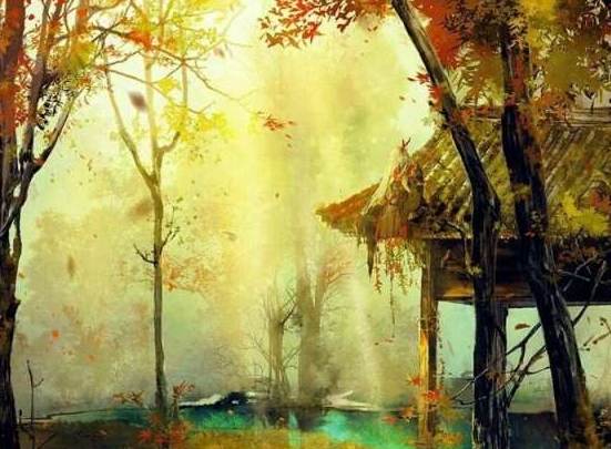 粉象生活是干嘛的