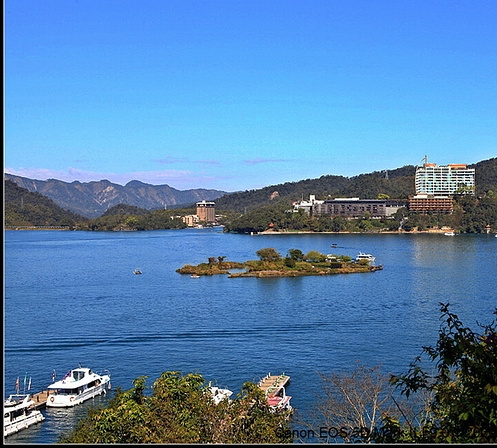 粉象生活模式图片