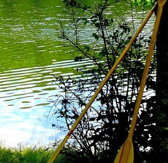 粉象生活升级后大概几天才看到收入