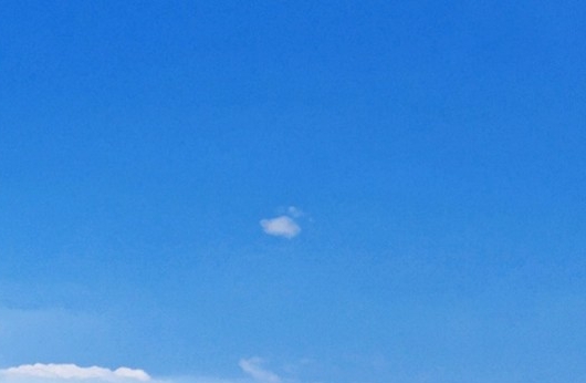 粉象生活邀请码