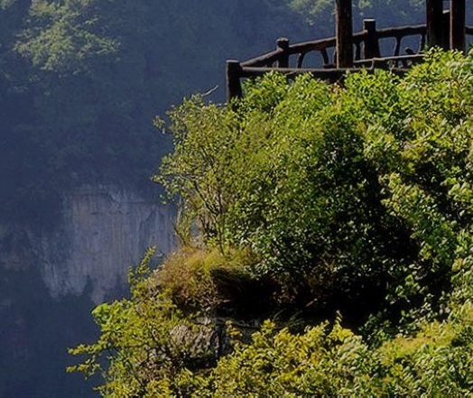 粉象生活的专属粉丝有什么用