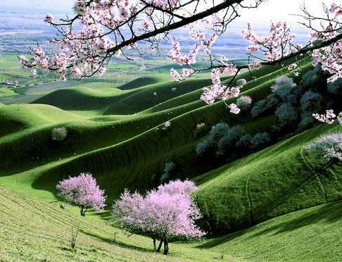 粉象生活图片图库