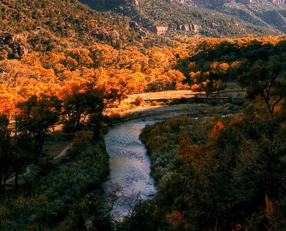 粉象生活如何使用