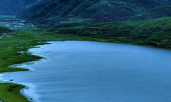 粉象生活合法吗