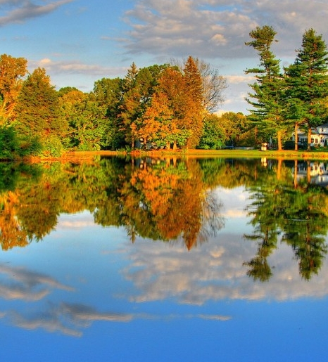 浙江正规粉象生活app