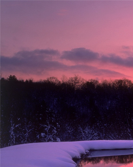 创业粉象生活感想