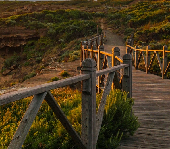 广东粉象生活合伙人