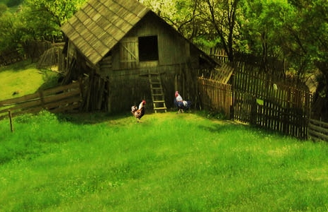 有没有做粉象生活不成功的