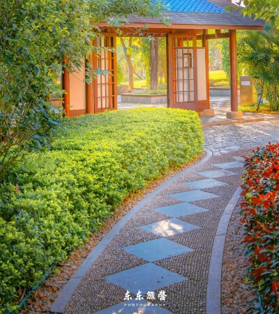粉象生活怎么赚钱的