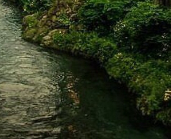 安徽口碑粉象生活怎么样