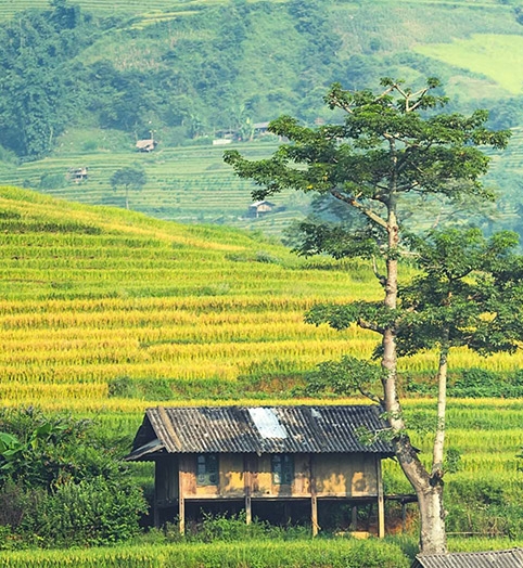 粉象生活到底靠谱吗