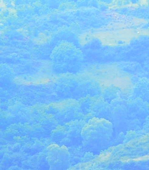 找代购粉象生活