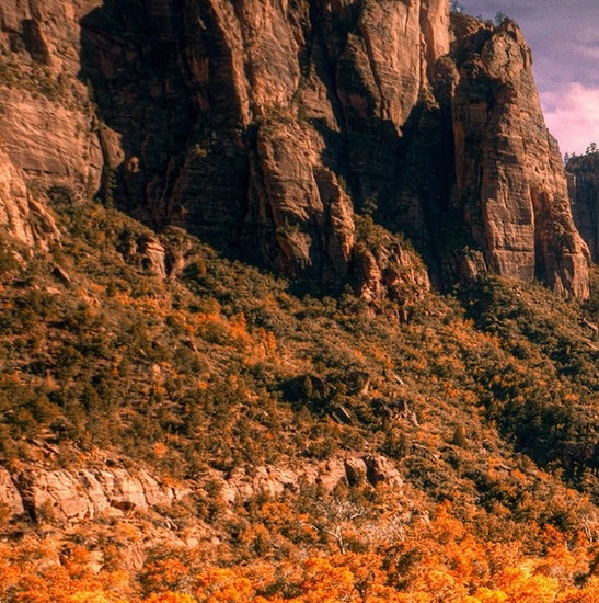 粉象生活是真的吗?真的能赚到钱吗