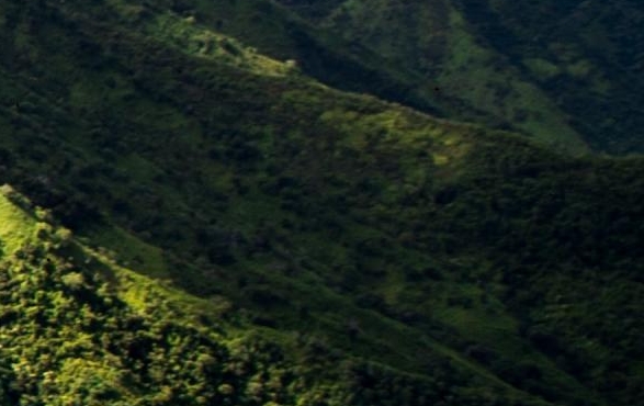 粉象生活怎么看邀请了好友