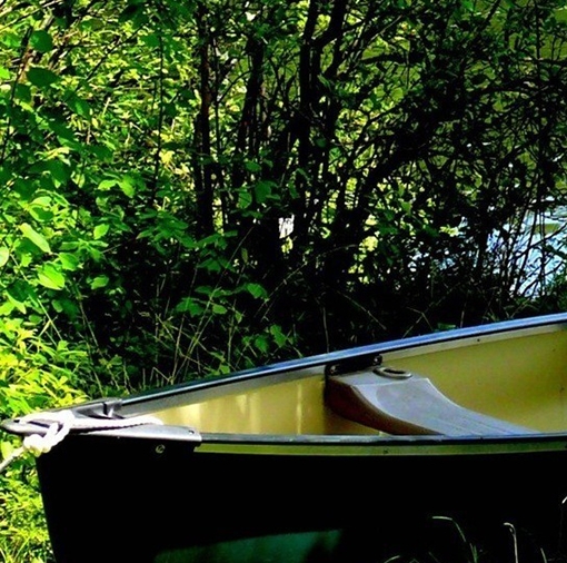 怎么找回对生活的信心