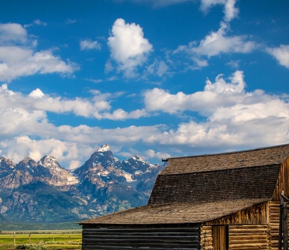 粉象生活是真的假的