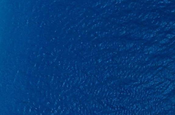 粉象生活怎么做任务