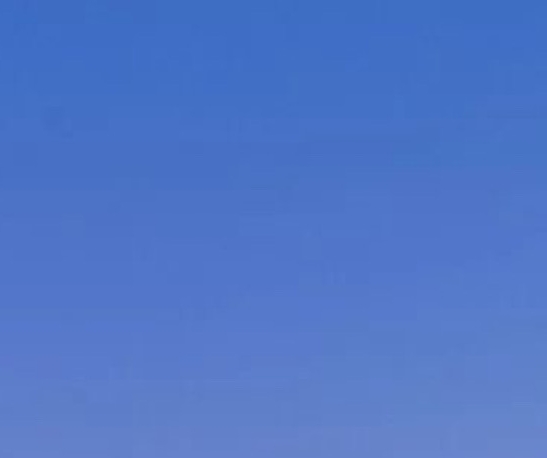 扎嘴生活在哪里