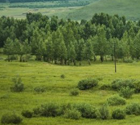 滨州粉象生活app