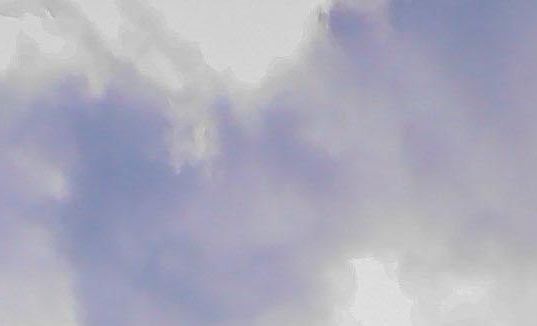 粉象生活邀请码是什么意思