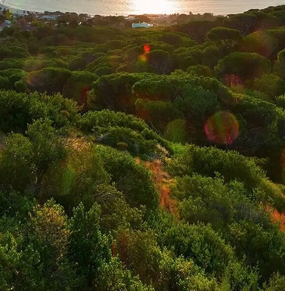 粉象生活邀请一个新用户奖励多少钱