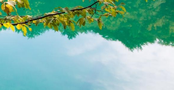 粉象生活官方APP邀请码