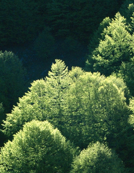 菏泽聚合传媒怎么样