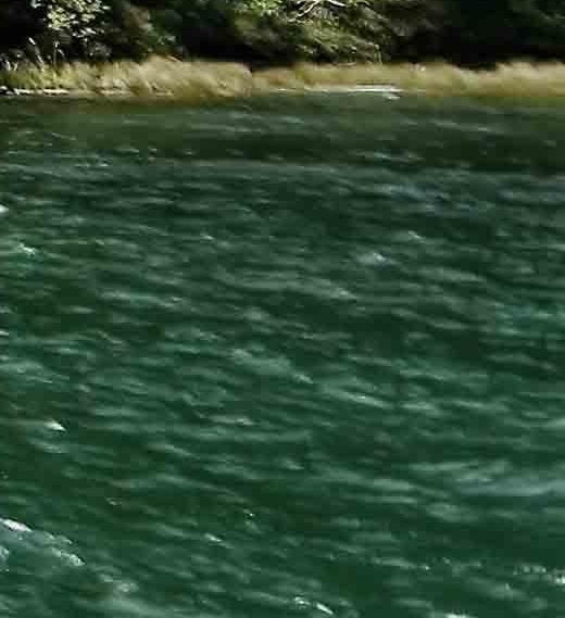 粉象生活粉丝怎么增加