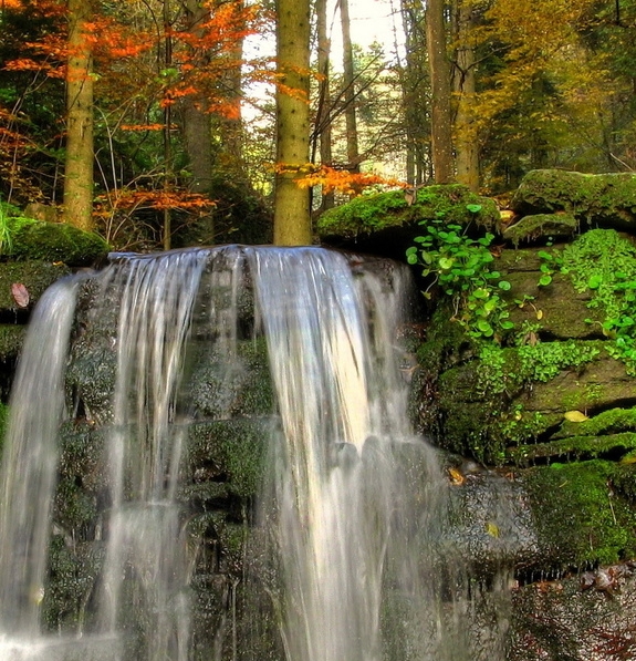 杭州十二象抓龙筋体验