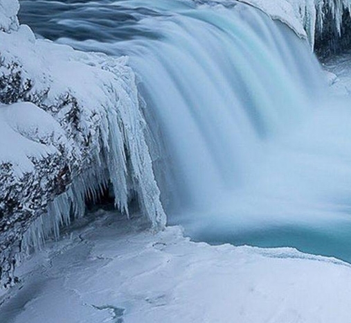 粉象生活不收钱
