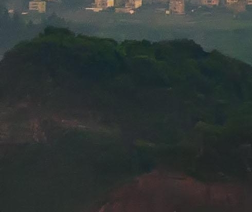 粉象生活里的水果