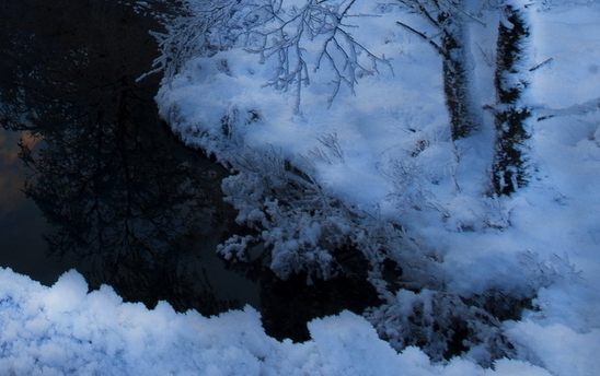 粉象生活如何自己发布