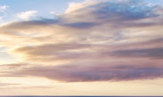 粉象生活下载并安装