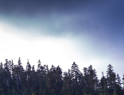 粉象生活的代理是干嘛的