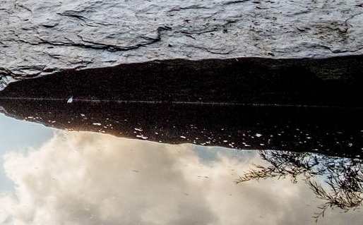 粉象生活升级太难